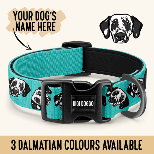 Dalmatian Dog Collar