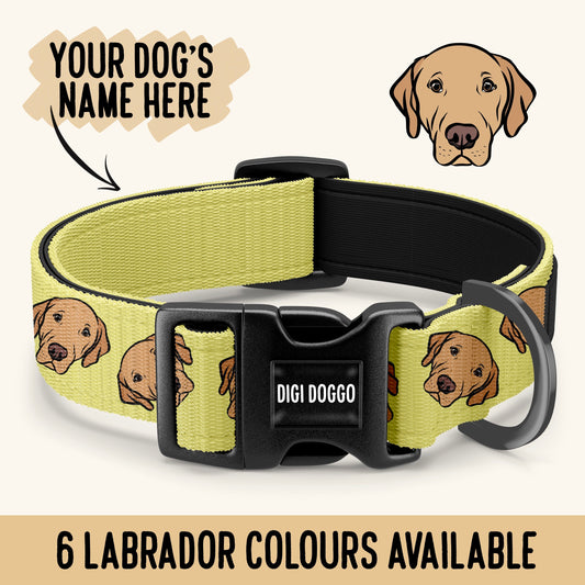 Labrador Personalised Collar