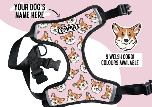 Personalised Corgi Harness