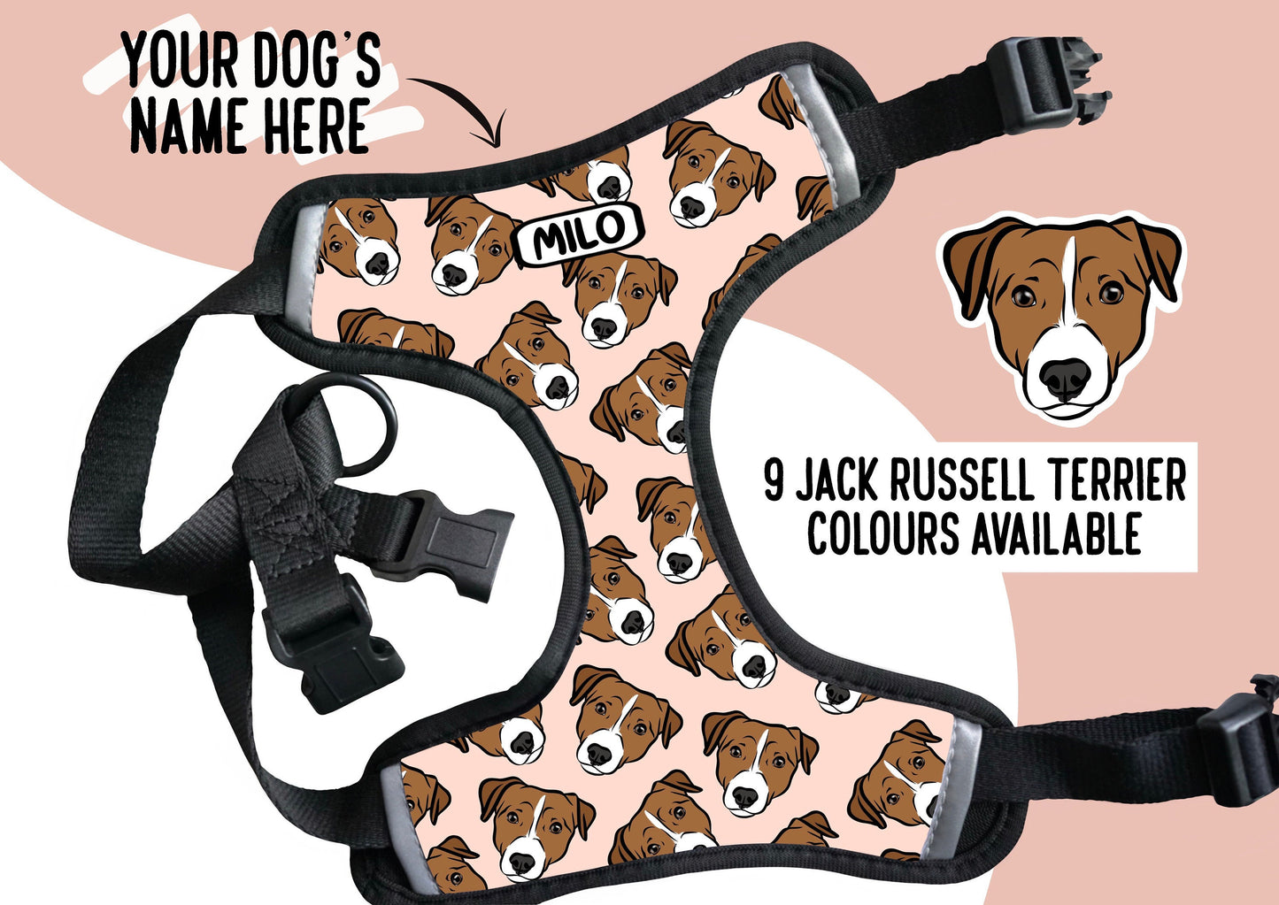 Jack Russell Terrier Harness