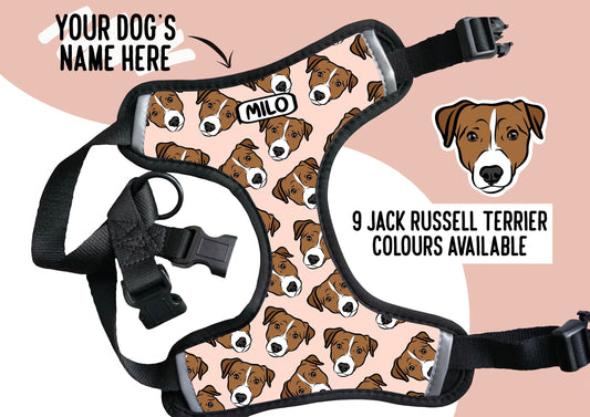 Jack Russell Terrier Harness