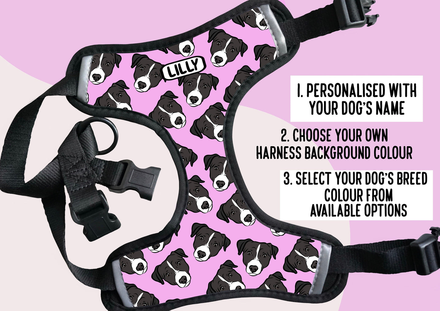 Jack Russell Terrier Harness