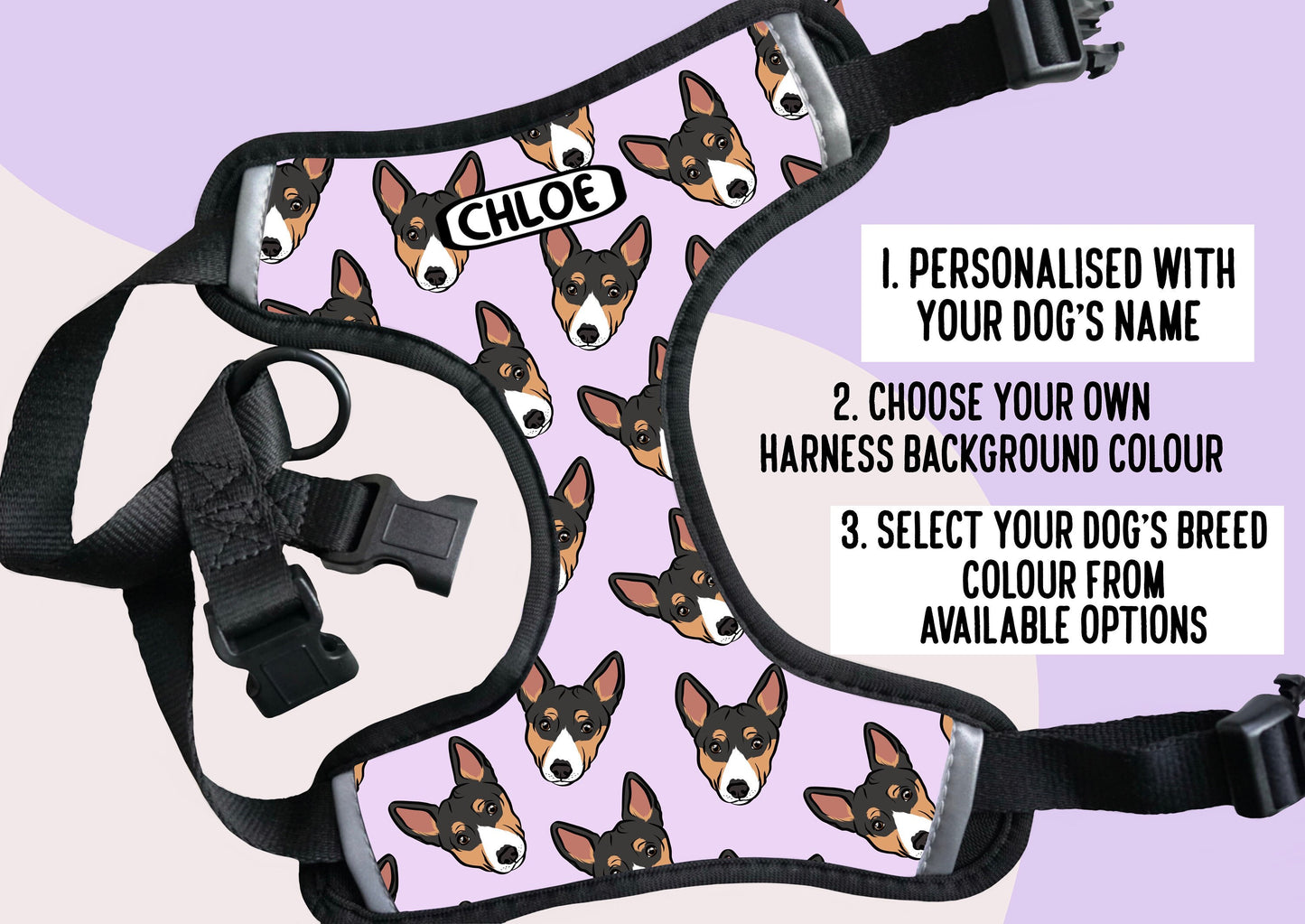 Personalised Basenji Harness