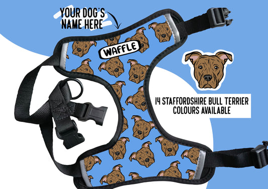 Staffordshire Bull Terrier Harness