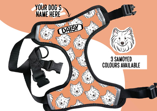 Samoyed Print Harness