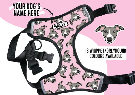 Personalised Whippet Harness