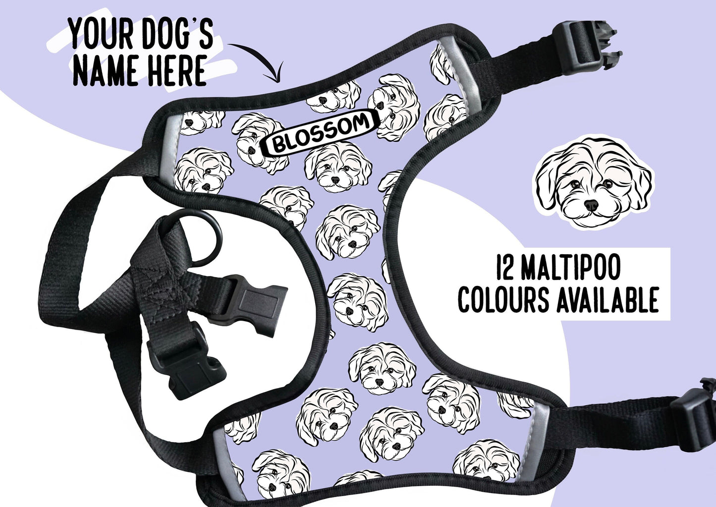 Maltipoo Face Harness