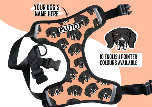 English Pointer Face Harness