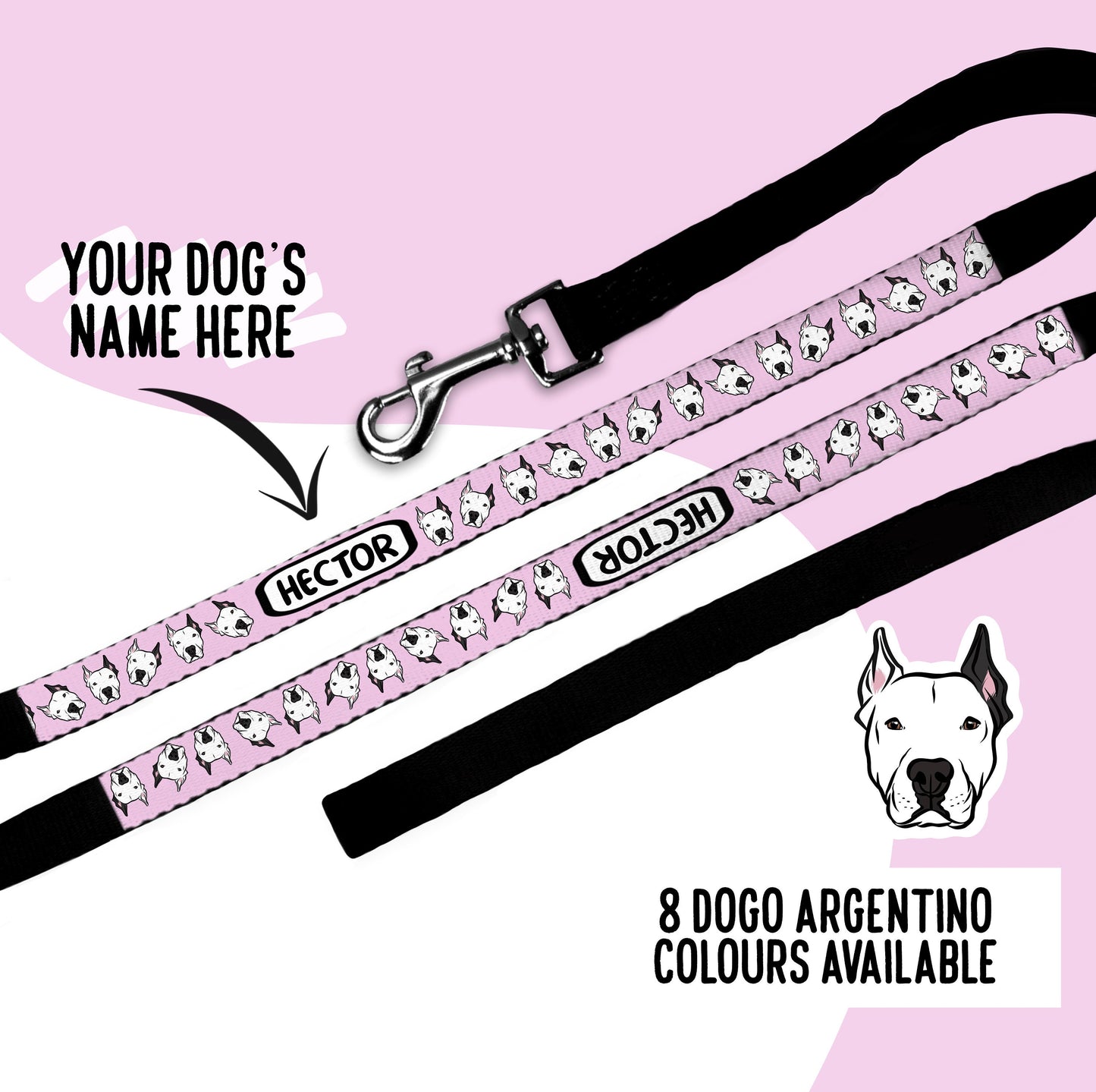 Dogo Argentino Lead