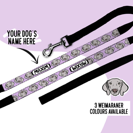 Weimaraner Dog Lead