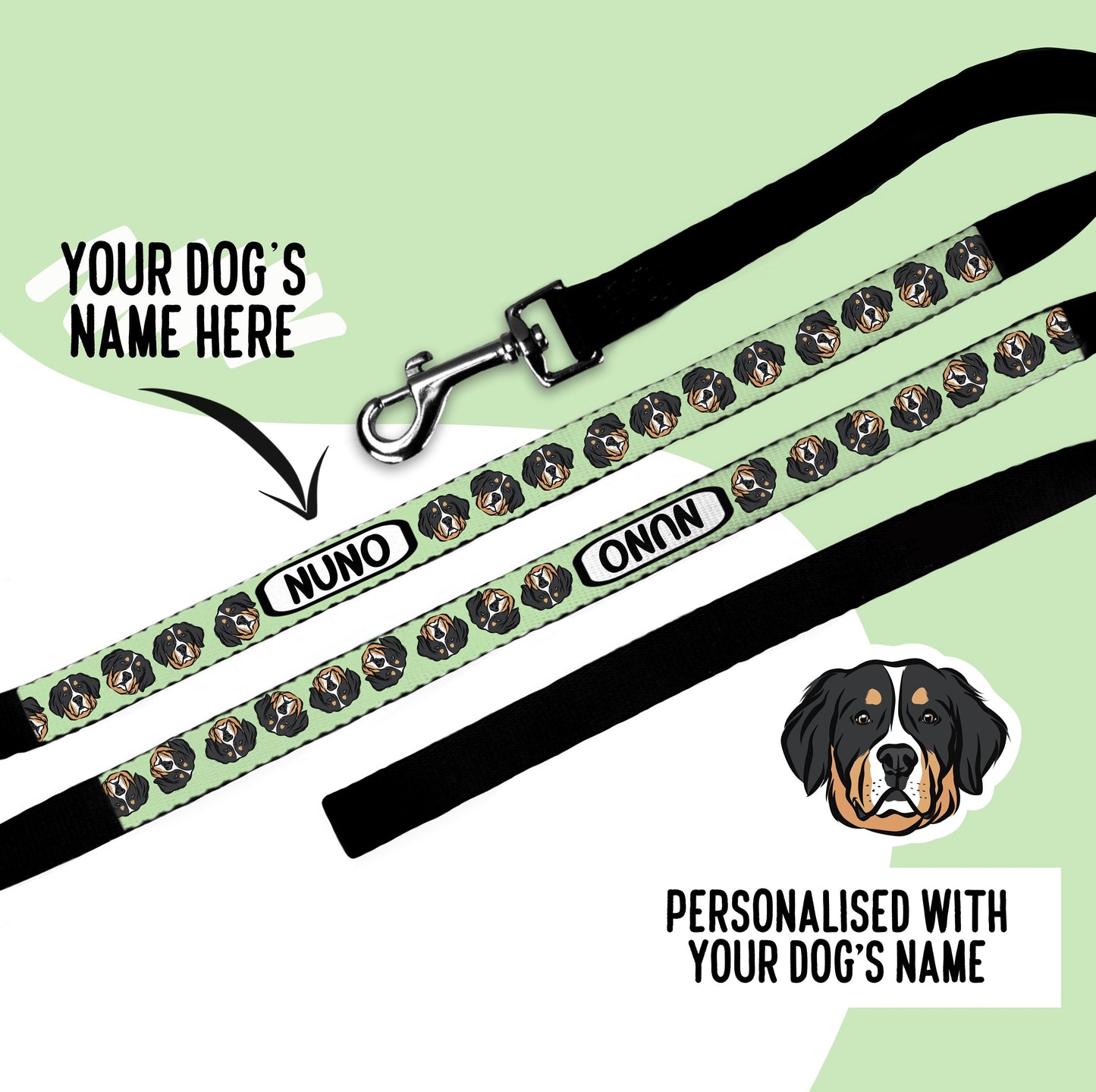 Bernese Mountain Dog Lead