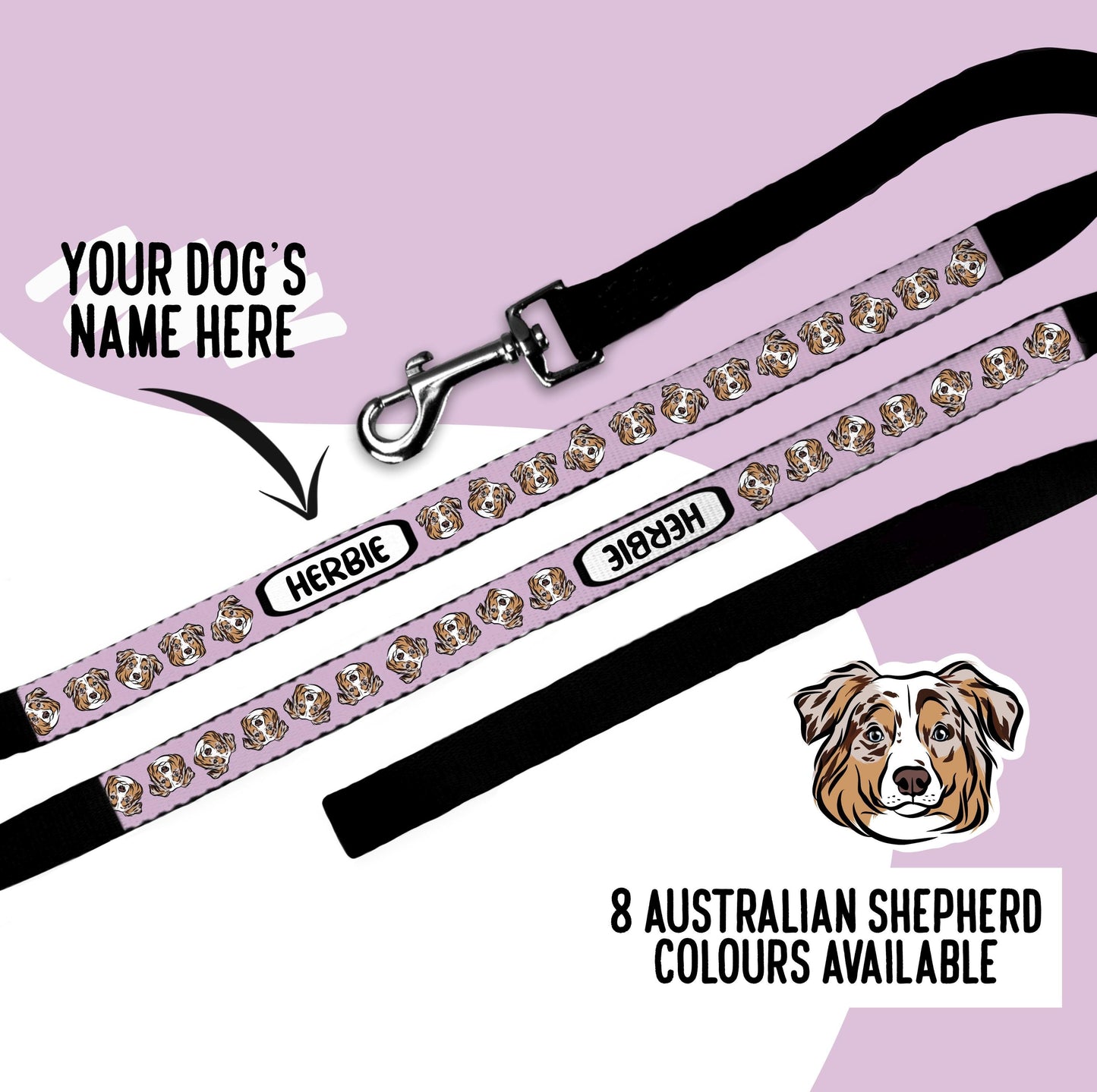 Australian Shepherd Dog Lead