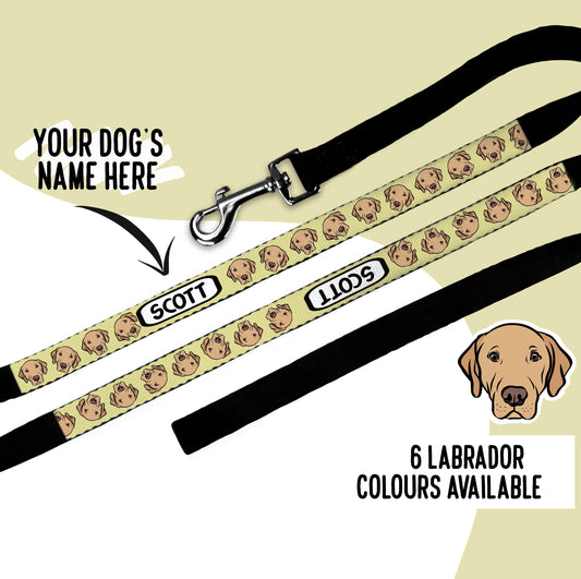 Labrador Dog Leash