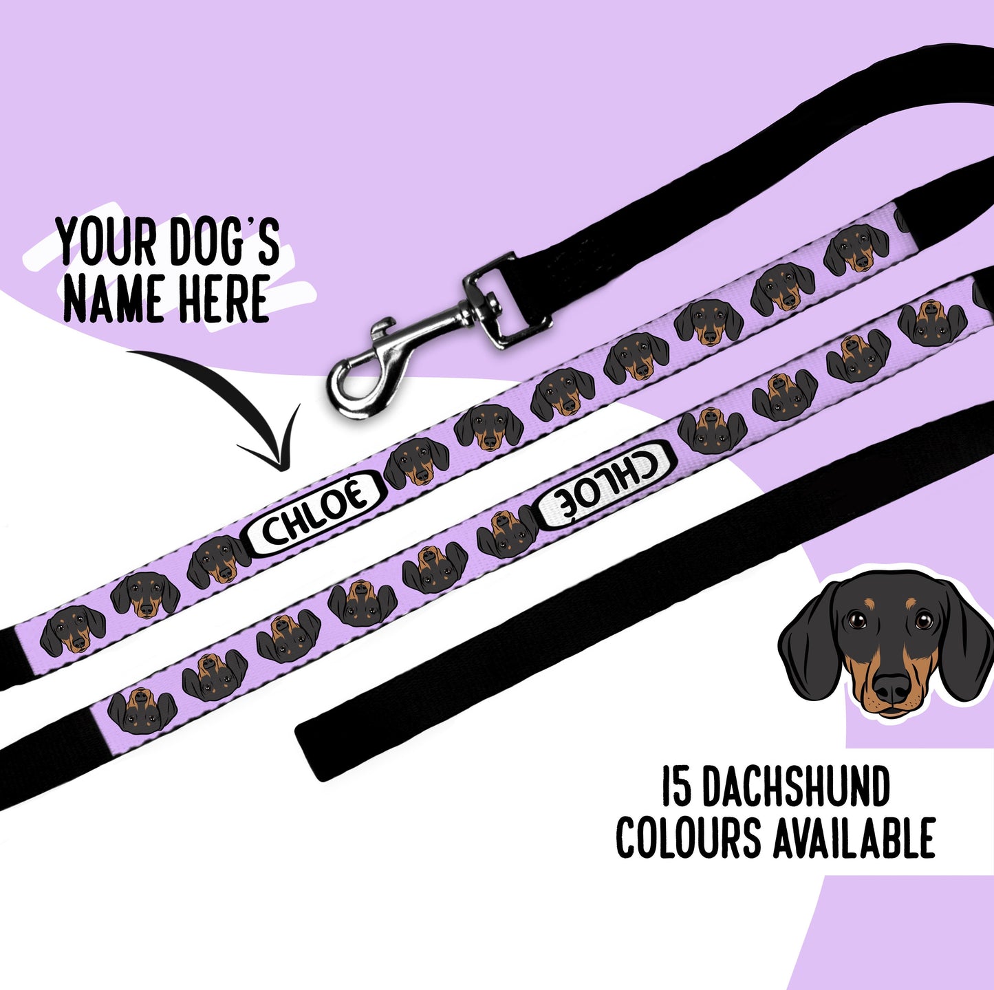 Dachshund Face Leash