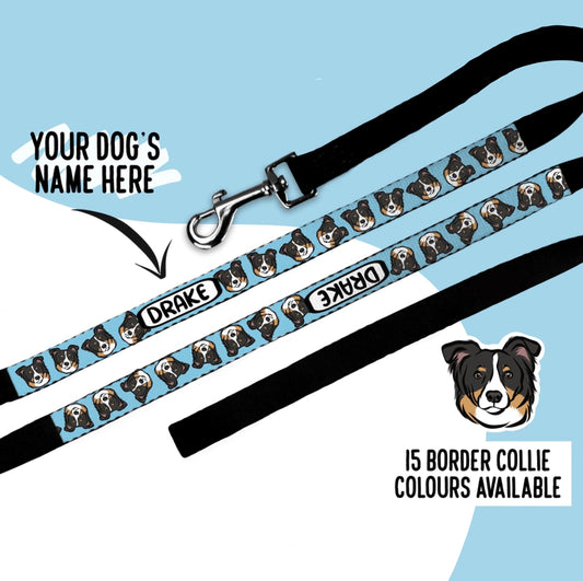 Border Collie Dog Lead