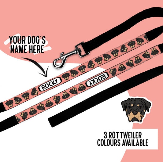 Rottweiler Dog Portrait Leash