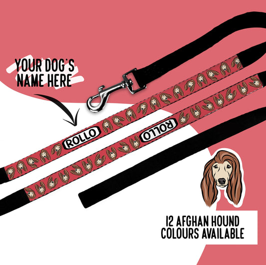 Afghan Hound Face Lead