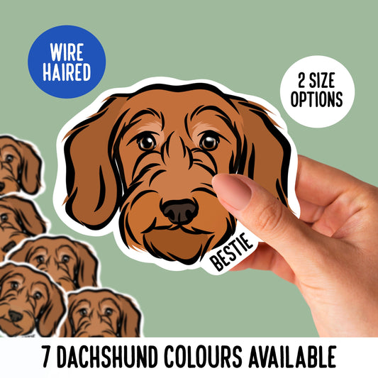 Wire Haired Dachshund Stickers