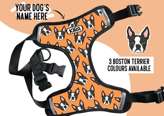Boston Terrier Harness