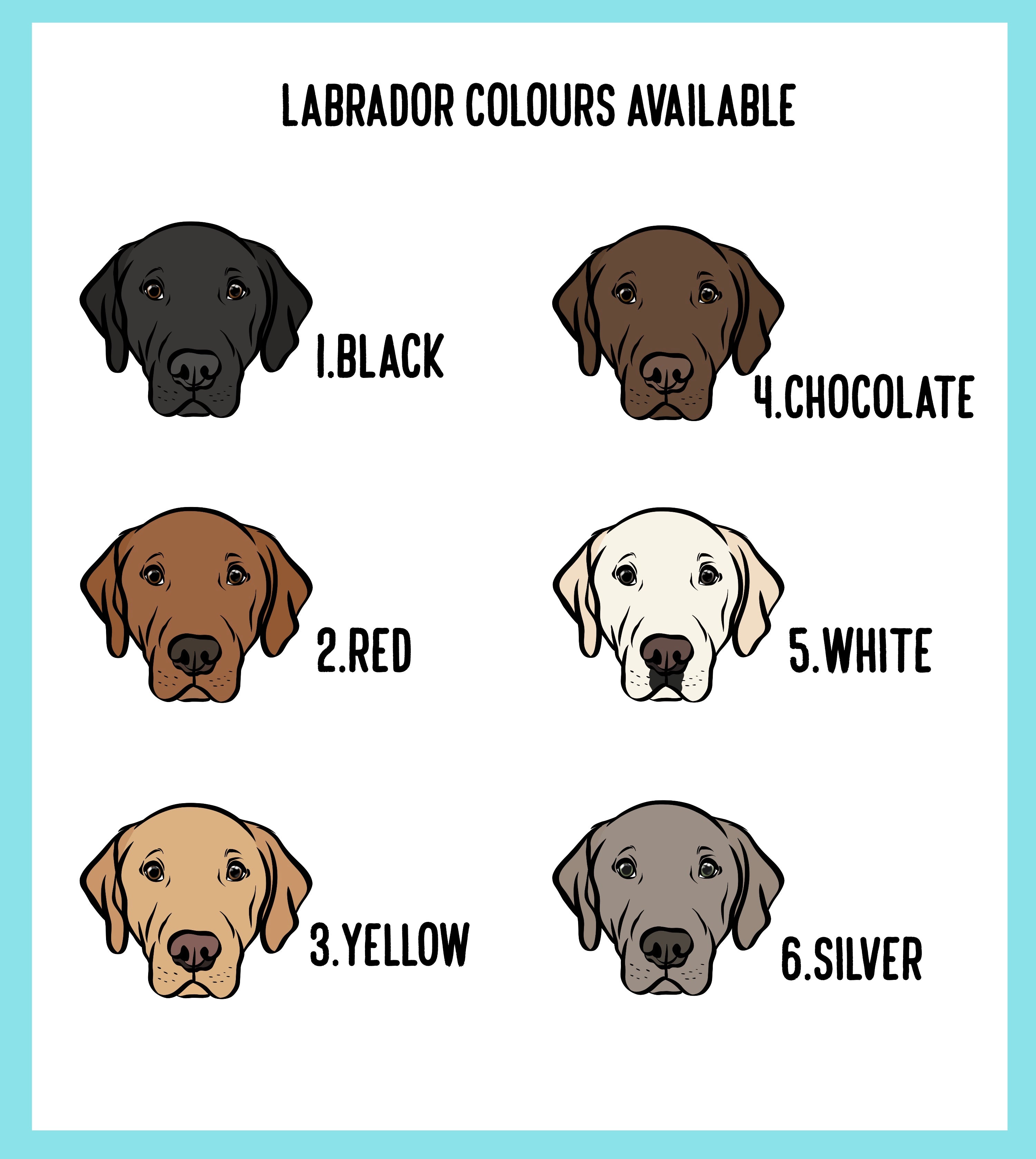 Labrador onesie store