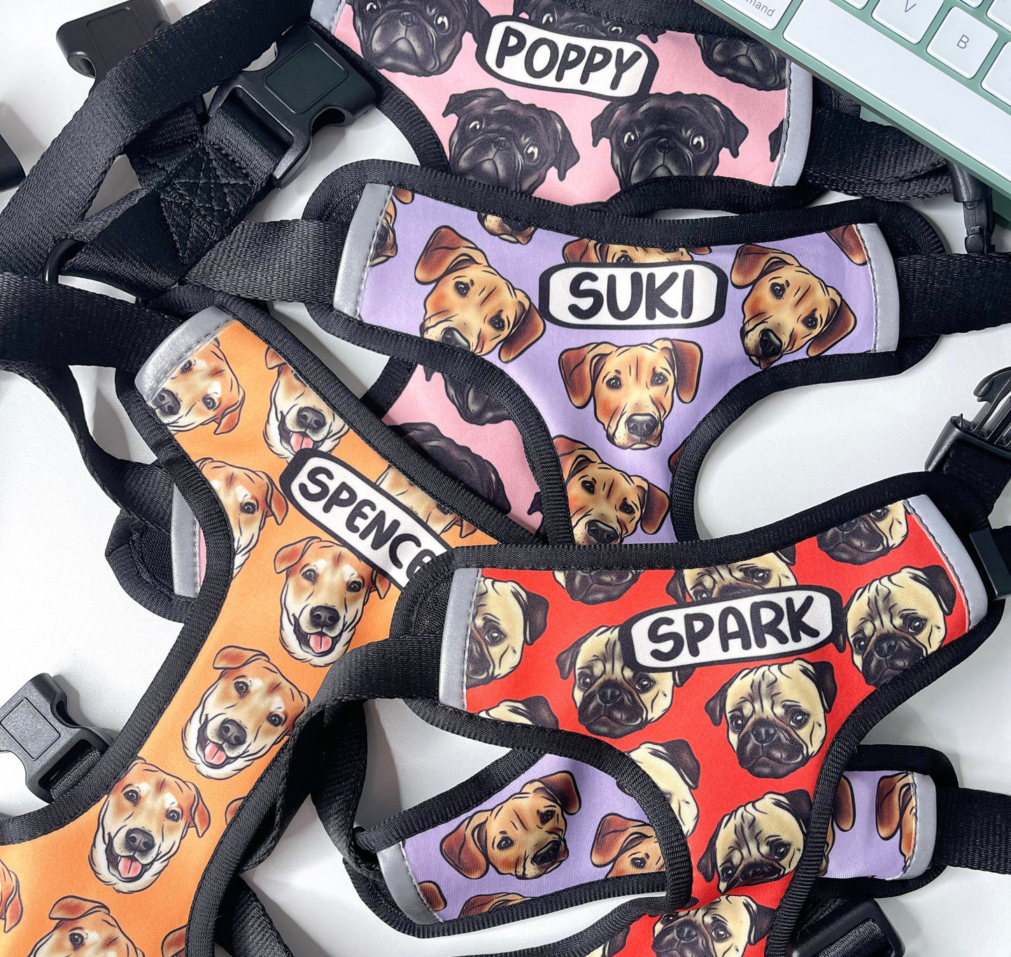 Pet Portrait Harness