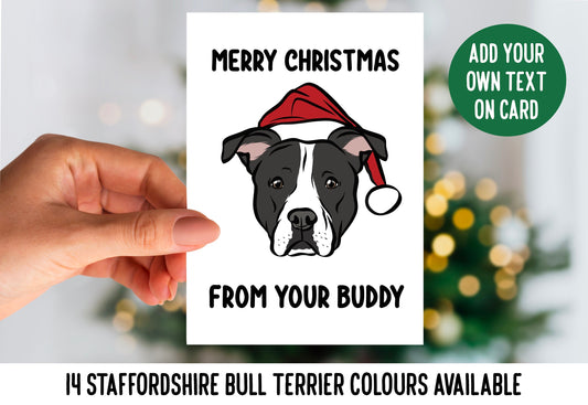 Staffordshire Bull Terrier Christmas Card