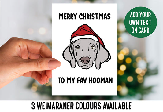 Weimaraner Christmas Card