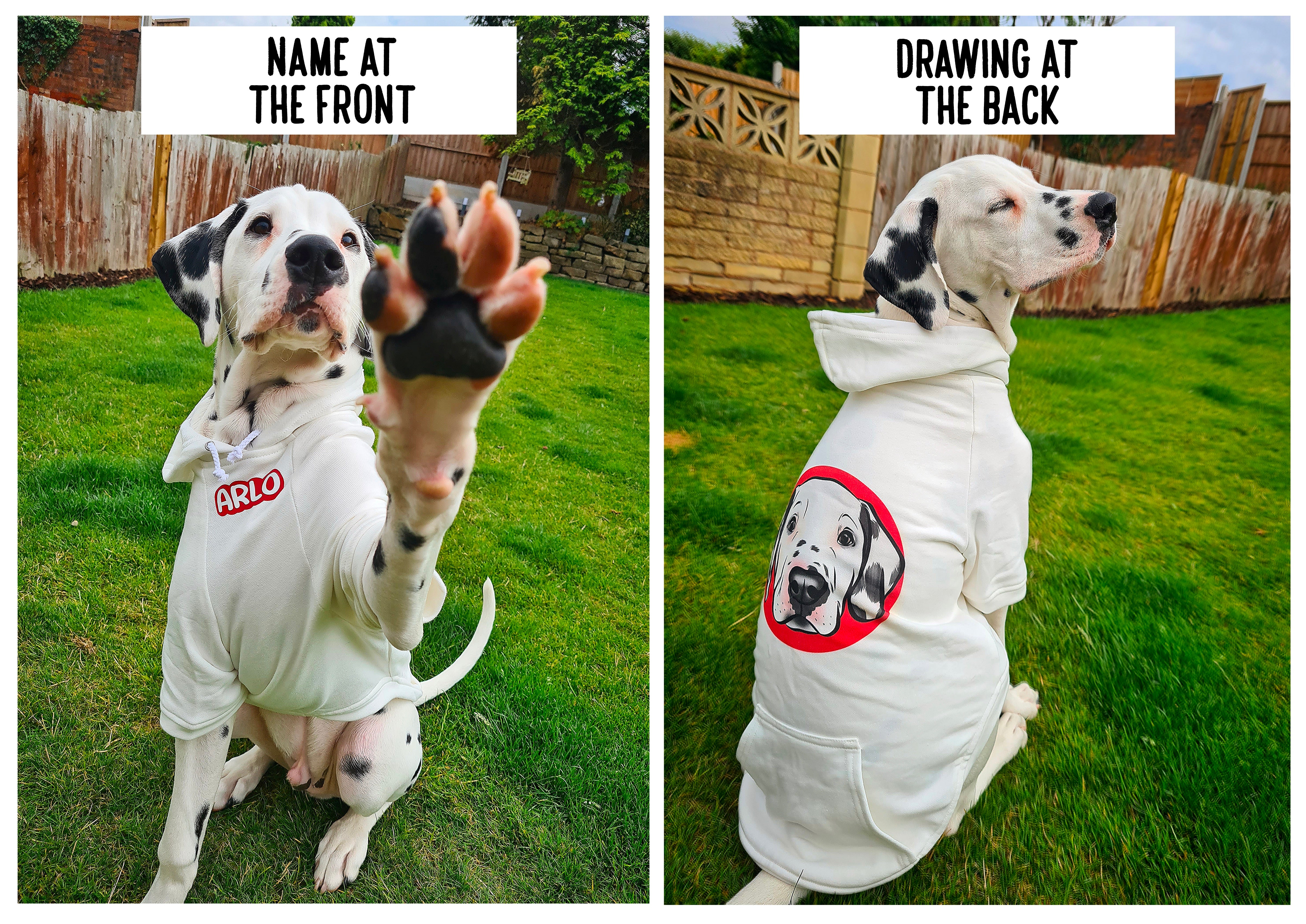 Personalised hotsell dog outfits