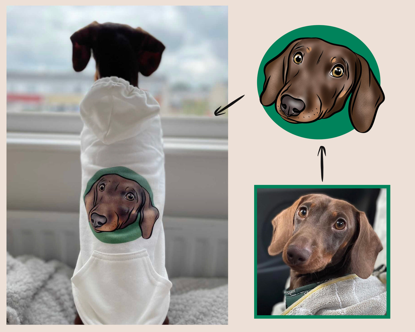 Personalised Dog Hoodie