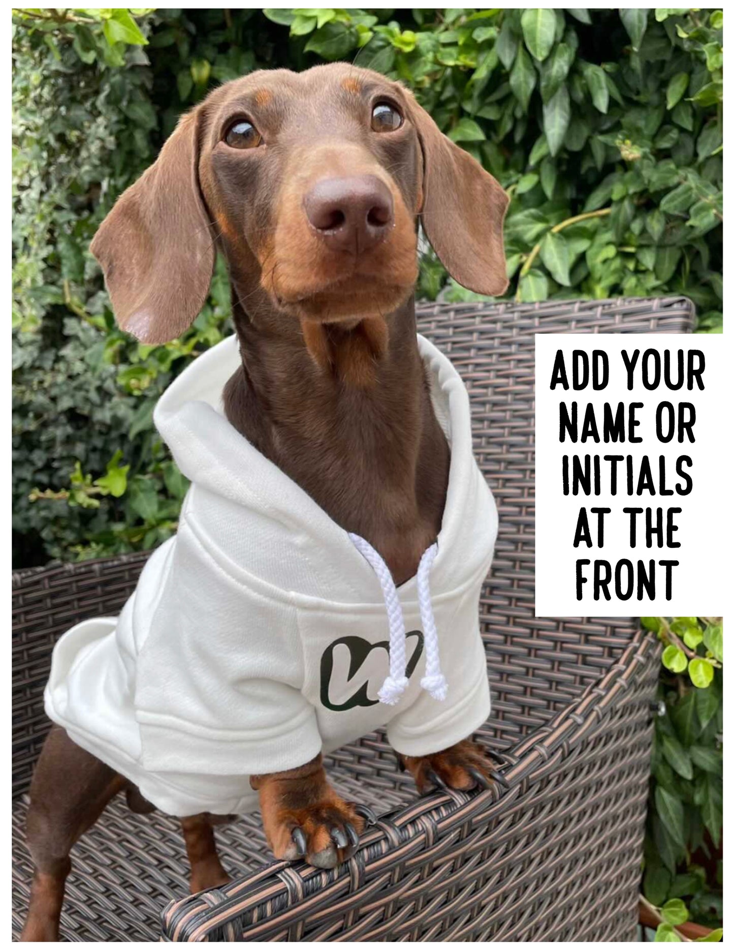 Personalised Dog Hoodie