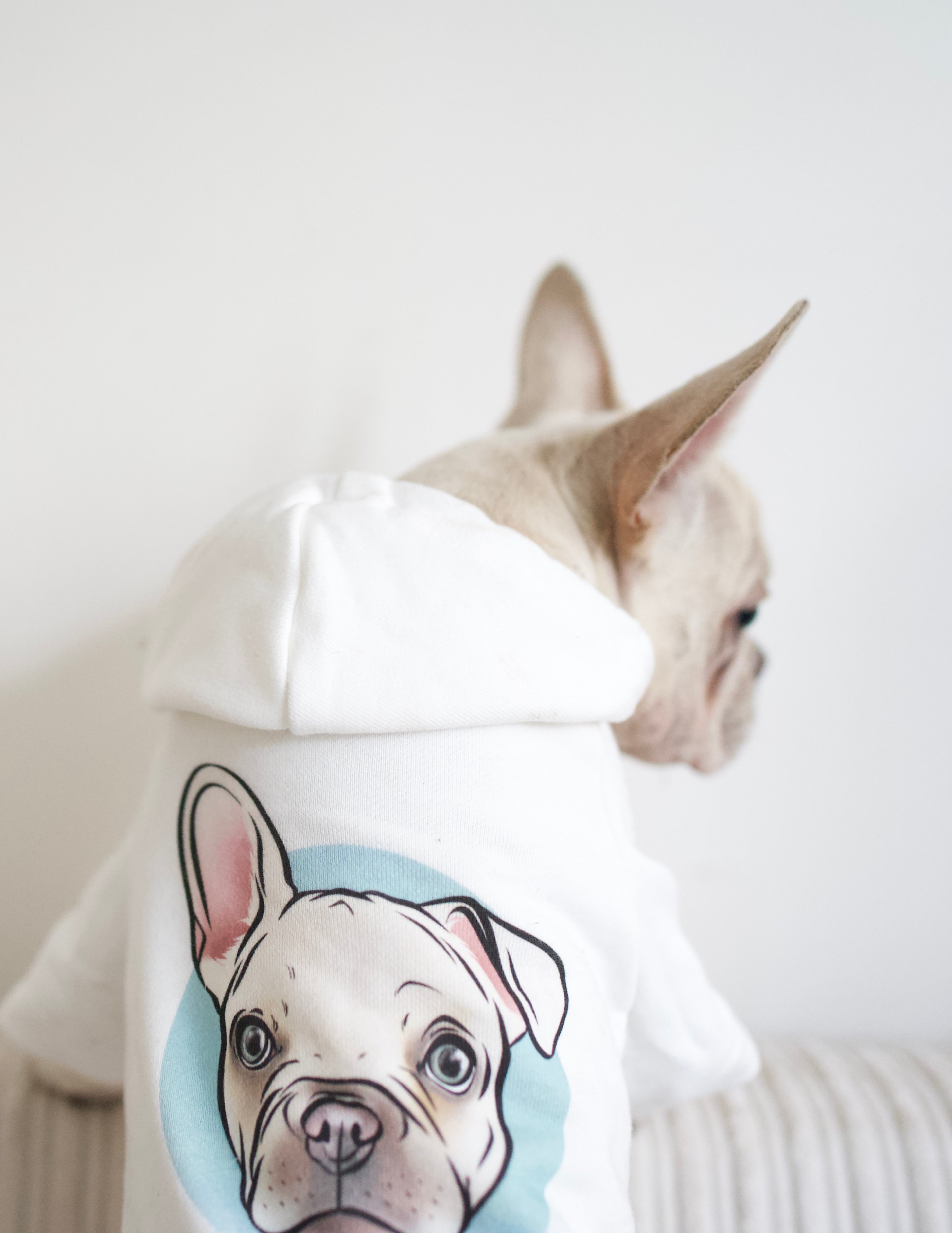 Personalised 2024 dog hoodies