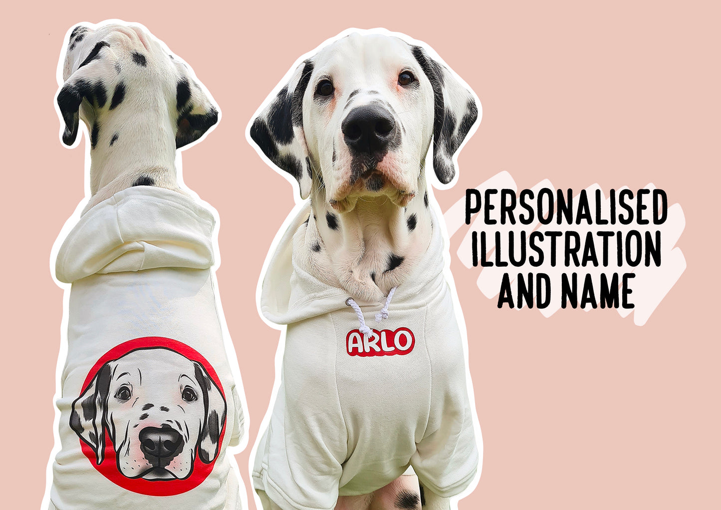 Personalised Dog Hoodie