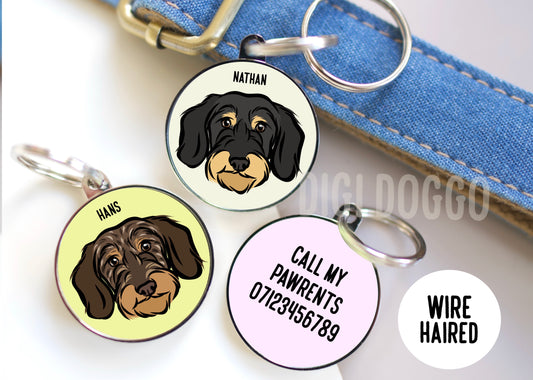 Wire Haired Dachshund ID Tag