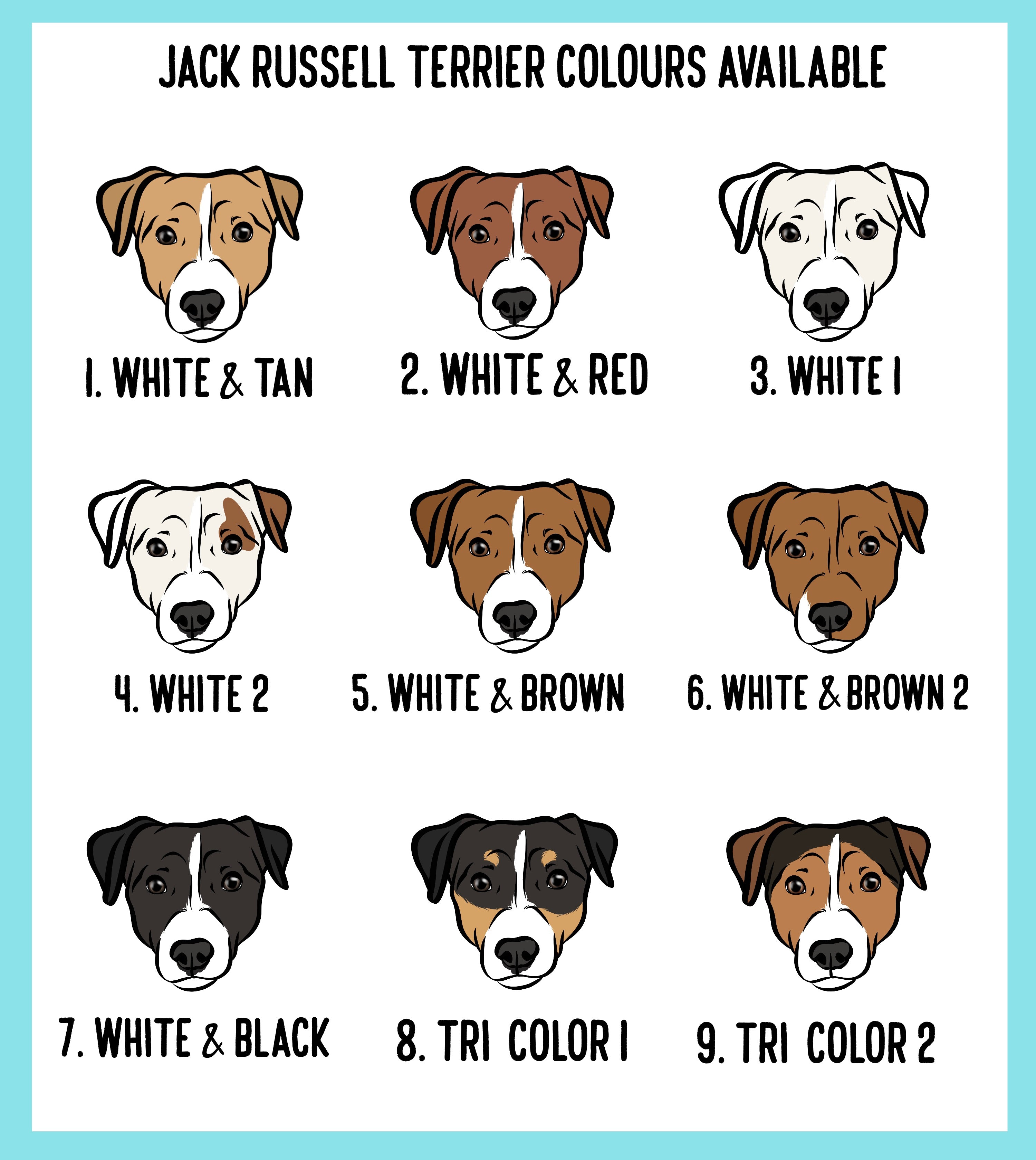 Jack russell deals colors