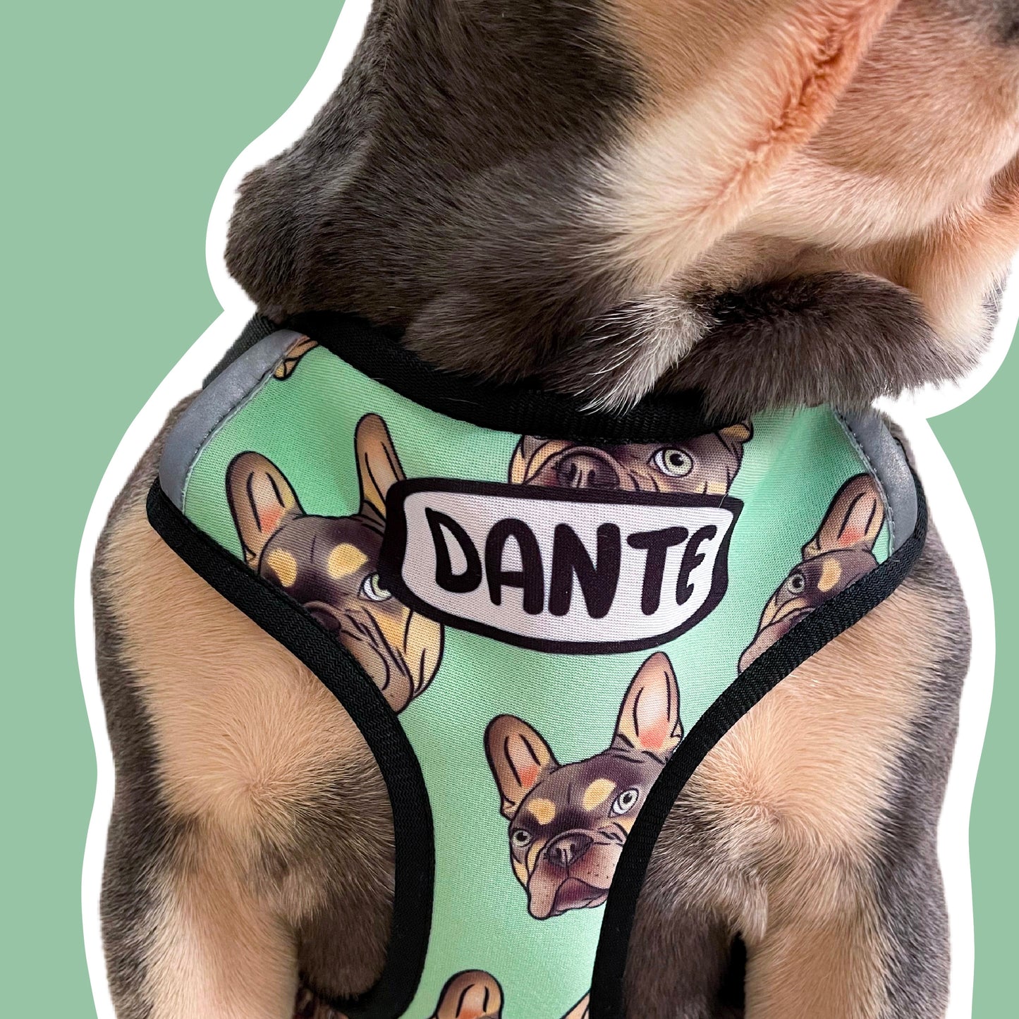 Pet Portrait Harness